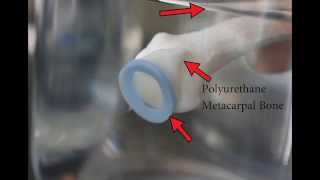 Potential Model to Explain Refractory PeriodParaphysiological Space Associated with Manipulation [upl. by Merari614]