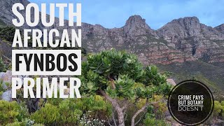 Intro to Fynbos Plants of South Africa South Africa Series  Ep 4 [upl. by Laurens]