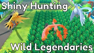 Shiny Hunting Wild Legendries In Pokémon Lets Go Pikachu and Eevee [upl. by Ahsekar303]