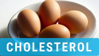 The Shocking Truth About Cholesterol [upl. by Bullough]