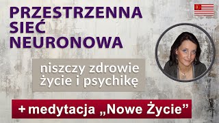 Życie się sypie Zdrowie Brakuje pieniędzy Ustaw Przestrzenną Sieć Neuronową a będzie poprawa [upl. by Alek]