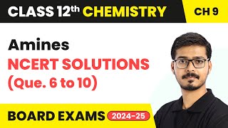 Amines  NCERT Solutions Que 6 to 10  Class 12 Chemistry Chapter 9  CBSE 202425 [upl. by Risser]