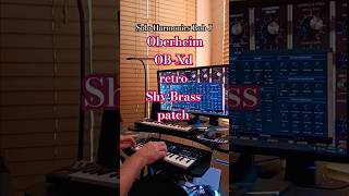 Oberheim OBXd retro Shy Brass patch soloharmonicsrobj8246 music [upl. by Karp934]