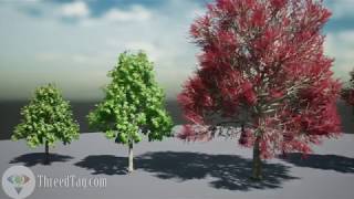 UE4 FREE tress pack 05  Brachychiton trees [upl. by Zarah]