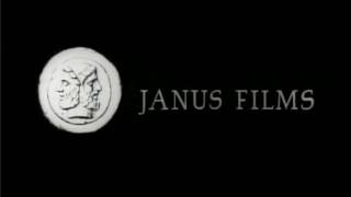 The Criterion CollectionJanus FilmsStudioCanal opening logos 20051951 [upl. by Sallee609]