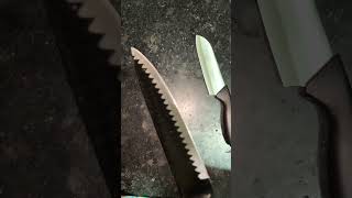 Knife sharpener firstreviewhere kitchen appliances review ytshorts [upl. by Nev58]