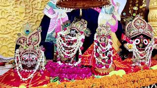 FLOWER BUNGALOW FESTIVAL 3624 SRISRI RADHASHYAMSUNDAR TEMPLE LOI BAZAR SEVAKUNJ VRINDAVAN [upl. by Harwell]