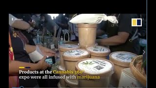 Cannabis 360 degrees Expo in Thailand [upl. by Onyx]