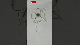 Flower Drawing from number 8😍flower drawingdrawingart artwork ytshorts [upl. by Eadahc636]