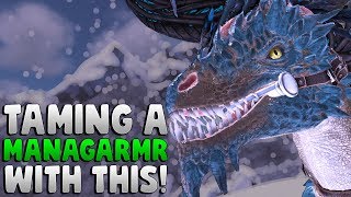 Managarmr Taming Glitch Using the Rock Drake  Ark Survival Evolved [upl. by Sakram]