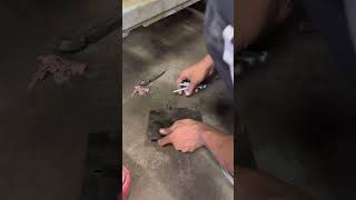 Ac Compressor Change CarSuzuki Wagon R Ac Compressor ReplacementMS AUTOS Car Ac [upl. by Onin]