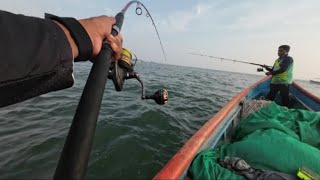 Big fish Big game malvan fishing Back to back caches fishing viralvideo shorts [upl. by Cole276]