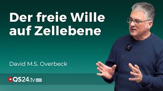 Den freien Willen stärken Die Symbiose von Zellen und Willenskraft  Erfahrungsmedizin  QS24 [upl. by Leunamme]