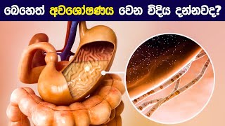 බෙහෙත් අවශෝෂණය වෙන්නෙ කොහොමද  😨 How medications get absorbed by our body in sinhala [upl. by Annoeik732]