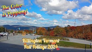 Vermont Fall Foliage  View from Killington K1 Base Lodge [upl. by Jasen923]