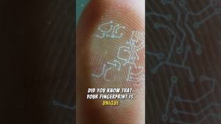 Did You Know Your Body Has a Unique Fingerprint FingerprintFacts [upl. by Idner]