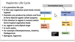 Algae lifecycles Haplontic life cycle Diplontic life cycle of algae lecture no 11 urdulectures [upl. by Scott585]