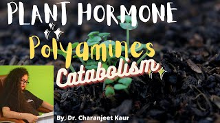 Plant Hormones  Polyamines  Catabolism  Dr  Charanjeet Kaur [upl. by Irvine533]