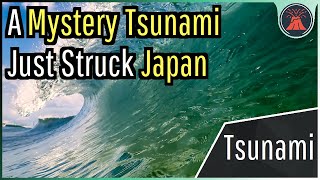 A Mystery Tsunami Just Struck Japan What Caused this Sudden Wave [upl. by Dirraj]