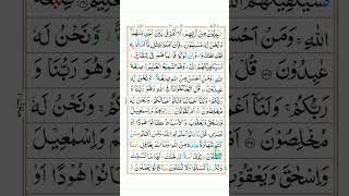 Quran recitation part64shorts youtubeshorts short shortvideo surahbaqarah🌹 [upl. by Anairol]