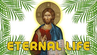 What is Eternal Life [upl. by Ahsac]