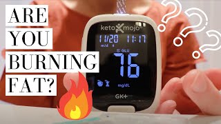 How to Test Glucose and Ketones With the Keto Mojo Device [upl. by Ezra214]