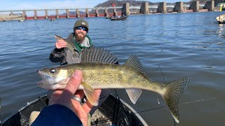 My Favorite Rig for Walleyes amp Sauger  Springtime River Fishing [upl. by Domenico]