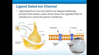 Unit 4 1 cell signaling Day 3 [upl. by Amles]