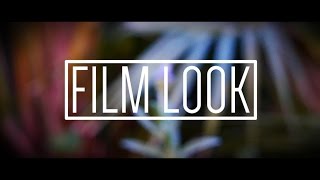 Film Look Tutorial  Using free software Blender [upl. by Wayolle]