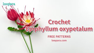 Crochet Epiphyllum Oxypetalum Flower  Free Pattern [upl. by Yelrihs]