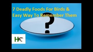 l Toxic l Poisonous l 7 Deadly Foods For Birds amp Easy Way To Remember Them [upl. by Elylrac8]