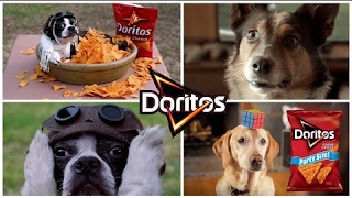 The Best 32 Most Funny Doggy Doritos Super Bowl Commercials of All Time Mr Ansten [upl. by Tobye]