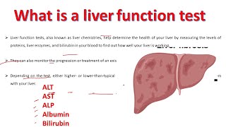 Liver function test  lft test in hindi  lft test kaise hota hai  lft test report kaise dekhe [upl. by Laks632]