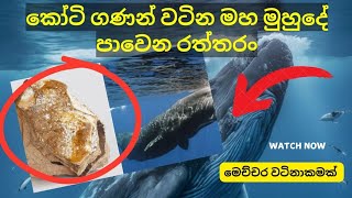 මා මුහුදේ පා වෙන රත්තරං Gold floating in the ocean [upl. by Assiran]