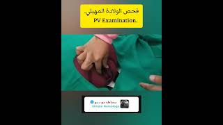 طريقة عمل الفحص المهبلي للولادة PV Examination انشروهاللاستفادة [upl. by Morvin82]