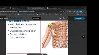 1ere année médecine  articulation de lépaule [upl. by Arabrab]