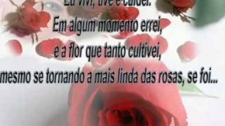 BASTA SER AMOR VIDEO POEMA DE AMOR E PAIXÃO [upl. by Ynohtna511]