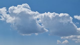 Short flight near congestus clouds [upl. by Fairfax]