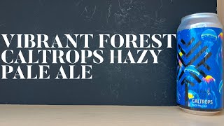 Vibrant Forest Caltrops Hazy Pale Ale  Vibrant Forest Brewery  English Pale Ale Review [upl. by Surad730]