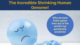 The incredible shrinking human genome [upl. by Ligriv]