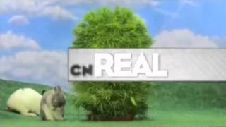 CN Real 2016 Bumpers [upl. by Inge520]