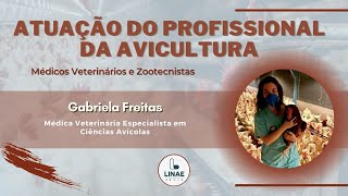 ATUAÇÃO DO PROFISSIONAL DA AVICULTURA Médicos Veterinários e Zootecnistas [upl. by Aelrac]