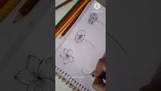 how to draw flowers easy step by step for beginners pencil drawing tutorial Roshnikalavasant [upl. by Meikah]