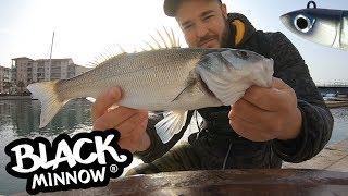 Technique de PÃªche du Bar au Leurre Souple  Black Minnow Fiiish [upl. by Heddie]