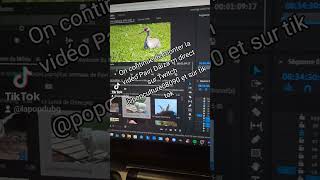 continue la vidéo Pairi Daiza rn direct sur Twitch popculture08090 et sur tik tok pairidaiza [upl. by Teresita220]