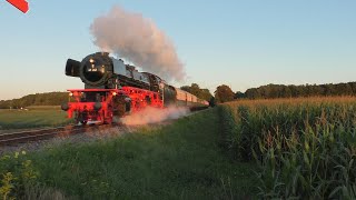 Summer Night Express mit 41 241 09082023 HD [upl. by Cyrus]