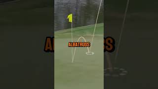 What is an Albatross in Golf  Rare Golf Feat Explained [upl. by Namad]