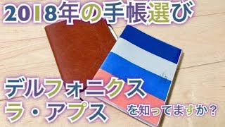 【手帳選び】 デルフォニクス ラ・アプスを知ってますか？ ２０１８年システム手帳 [upl. by Hurst]