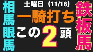 【１点】このレースは2頭が抜けている！ 競馬 KEIBA race ジョッキー ３３３３勝 勝負 [upl. by Justinn]