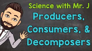 Producers Consumers and Decomposers  Ecosystems [upl. by Buehler]